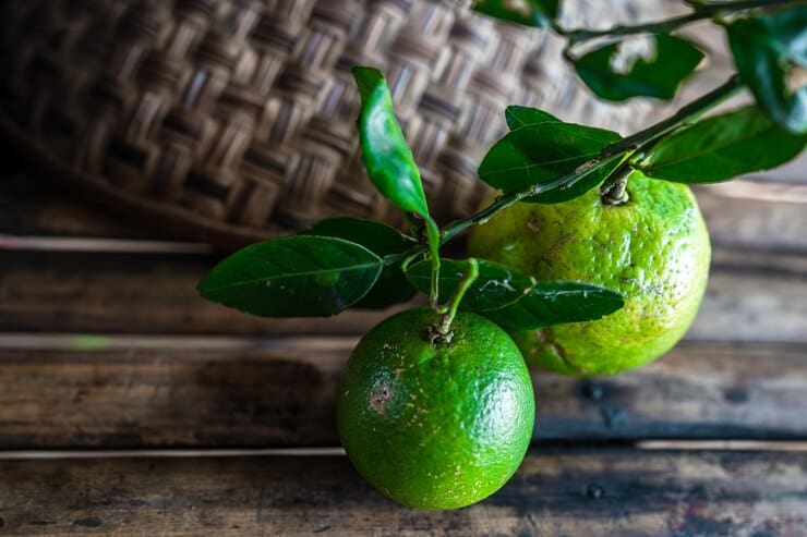 تصویر 4 از قیمت خرید نارنگی ژاپنی + فروش ویژه